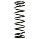 2x Spidan Fahrwerksfeder 55329 Hinterachse Ford Focus