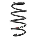 2x Spidan Fahrwerksfeder 86472 Vorderachse Audi A3 Seat Leon Skoda Octavia II VW