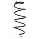 2x Spidan Fahrwerksfeder 85004 Vorderachse Citroen C2