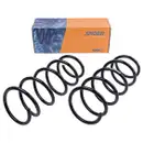 2x Spidan Fahrwerksfeder 56169 Vorderachse Nissan Kubistar Renault Kangoo Rapid