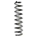 2x Spidan Fahrwerksfeder 56173 Hinterachse Renault Megane II Grandtour