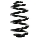 2x Spidan Fahrwerksfeder 56964 Hinterachse BMW X3 E83