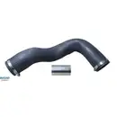 Ladeluftschlauch Bugiad 82302 für Renault