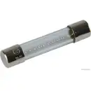 HERTH+BUSS ELPARTS 50295151 Sicherung 10A