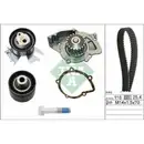 INA 530 0449 30 Wapu + ST Kit