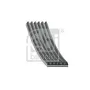 FEBI BILSTEIN 29010 Keilrippenriemen