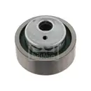 FEBI BILSTEIN 04880 Spannrolle für CITROËN, PEUGEOT, FIAT, LANCIA