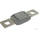 HERTH+BUSS ELPARTS 50295841 Sicherung grau