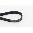 CONTINENTAL CTAM 6PK976 Keilrippenriemen