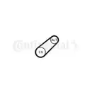 CONTINENTAL CTAM 6PK799 ELAST Keilrippenriemen