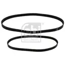 Keilrippenriemensatz Febi Bilstein 40858 für Ford für Ford Usa