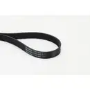 CONTINENTAL CTAM 7PK1605 Keilrippenriemen