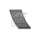 FEBI BILSTEIN 29055 Keilrippenriemen