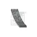 FEBI BILSTEIN 28852 Keilrippenriemen für FIAT, LANCIA, AUDI, CITROËN, PEUGEOT