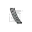 FEBI BILSTEIN 37519 Keilrippenriemen für HYUNDAI, BMW, AUDI, TOYOTA, KIA, HONDA