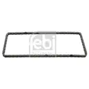 FEBI BILSTEIN 45260 Steuerkette