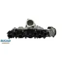 BUGIAD BIM17010 Saugrohrmodul für VW, AUDI, SEAT, SKODA