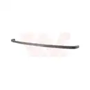 VAN WEZEL Schutzleiste vo. schwarz 5827580