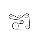 CONTINENTAL CTAM 6PK1733WP3 Keilrippenriemen Kit + Wasserpumpe