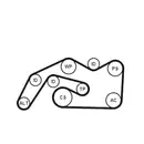 CONTINENTAL CTAM 6PK2490K1 Keilrippenriemen Kit