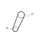 CONTINENTAL CTAM 5PK711 ELAST T1 Keilrippenriemen Elast + Tool