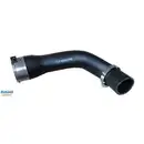 Ladeluftschlauch Bugiad 82155 für Renault