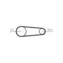 CONTINENTAL CTAM 6PK831 ELAST T1 Keilrippenriemen Elast + Tool