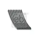 FEBI BILSTEIN 29093 Keilrippenriemen