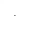 BOSCH 1 928 300 887 Gummiring