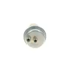 BOSCH 0 438 170 027 Druckspeicher, Kraftstoffdruck