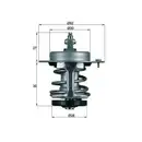 MAHLE TX 69 79 Thermostateinsatz