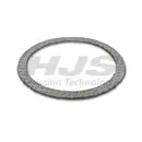 Dichtring Abgasrohr Hjs 83 14 1963 für Opel für Saab für General Motors Eingang