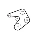 Keilrippenriemensatz Continental Ctam 6PK1244K1 für Citroën für Peugeot