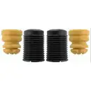 SACHS 900 325 SERVICE KIT