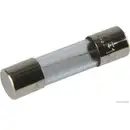 HERTH+BUSS ELPARTS 50295056 Sicherung 10A