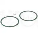 Dichtungssatz Ölwanne Elring 017.494 für Audi für Porsche für Seat für Skoda