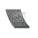 FEBI BILSTEIN 45448 Keilrippenriemen