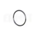 ERNST 493130 Dichtring
