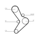 CONTINENTAL CTAM CT731K1 Zahnriemen Kit