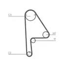 CONTINENTAL CTAM CT1081 Zahnriemen