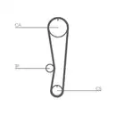 CONTINENTAL CTAM CT895 Zahnriemen