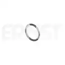 ERNST 493789 Dichtring