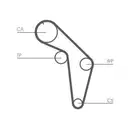 CONTINENTAL CTAM CT926 Zahnriemen
