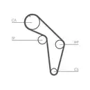 CONTINENTAL CTAM CT926 Zahnriemen