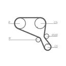 CONTINENTAL CTAM CT952 Zahnriemen