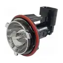HELLA 9DX 153 746-011 Gluehl 12V H10W BA9s