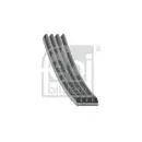 Keilrippenriemen Febi Bilstein 38440 für Bmw