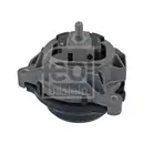 FEBI BILSTEIN 45583 Motorlager für BMW