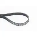 CONTINENTAL CTAM 5PK705 ELAST Keilrippenriemen
