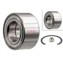FAG 713 6905 10 Radlagersatz